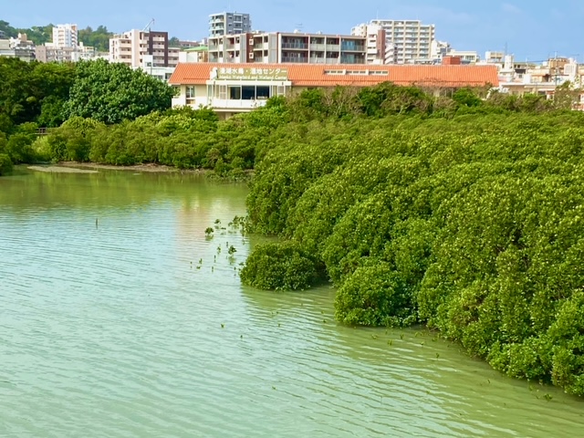 漫湖水鳥湿地センター