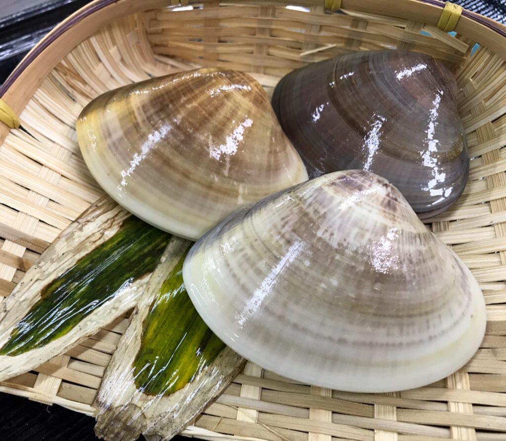 九十九里地はまぐり