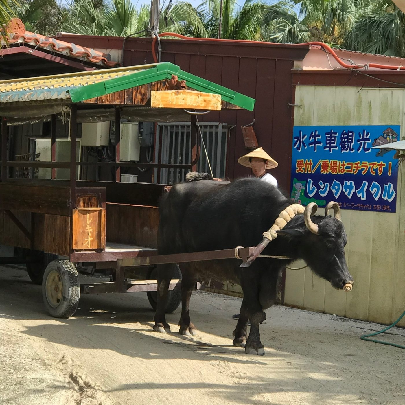 水牛車観光